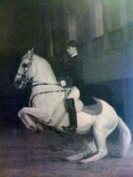 Georg Wahl